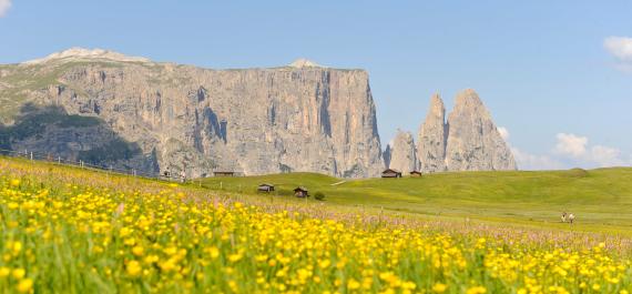 Dolomiti natura